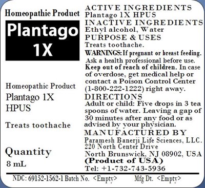 Plantago 1x (Plantago 1x)